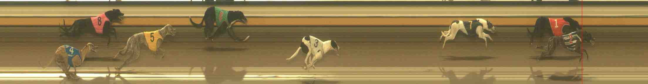 Race result finish photo